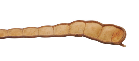 Lusk fazole XXL, písková 80-100cm
