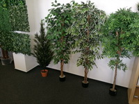 SHOWROOM umělé rostliny a zelené stěny