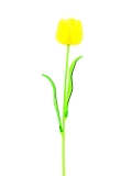 Tulipán žlutý, krystalický 61cm, 12ks