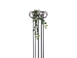 Philodendron zelený, 70cm