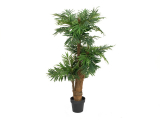 Areca palma s lýkovým kmenem, 140cm