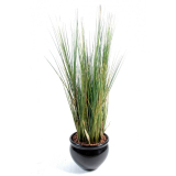 Cibulová tráva zelená, 95cm