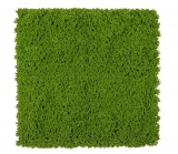 Umělá živá zelená stěna MECH PE PREMIUM 4ks, 50 x 50cm, 1m2