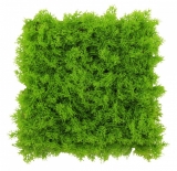 Umělý islandský mech světle zelený, 50 x 50cm