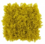 Umělý islandský mech žlutý, 50 x 50cm