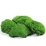 Stabilizovaný mech bochánky 0,35 kg - přírodní tmavě zelený