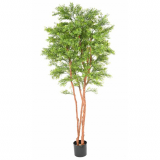 Eukalypt strom UV, 210 cm