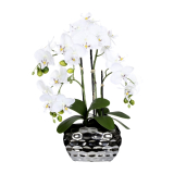 Orchidej bílá v květináči, 55cm