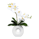 Orchidej bílá ve váze, 35cm