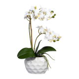 Orchidej bílá v květináči, 40cm