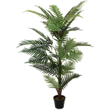 Palma Areca, 150 cm