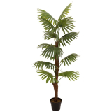 Fan palma, 155cm