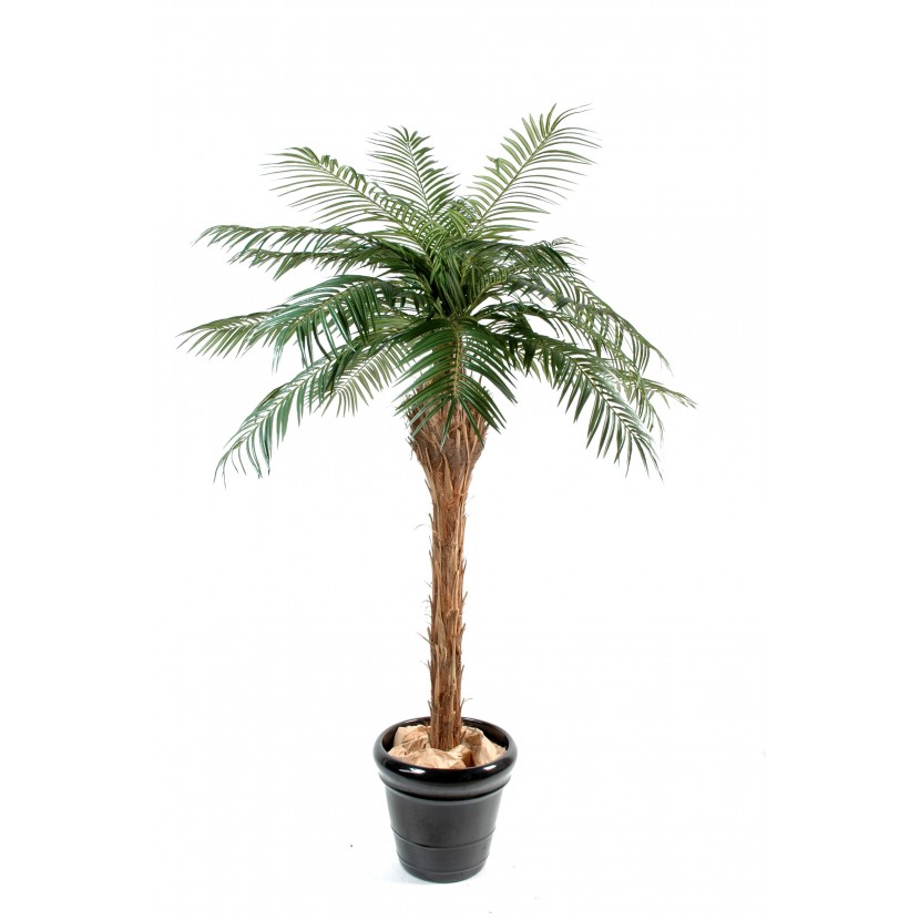 Phoenix palma přírodní kmen deluxe, 210cm
