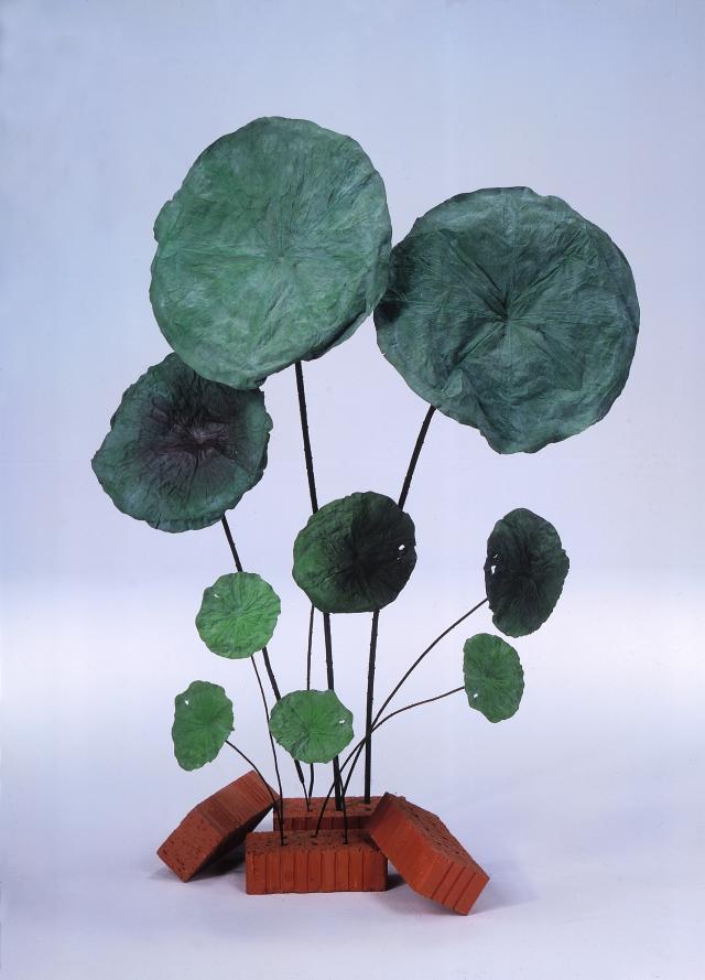 List lotusu tm.zelená , 45cm