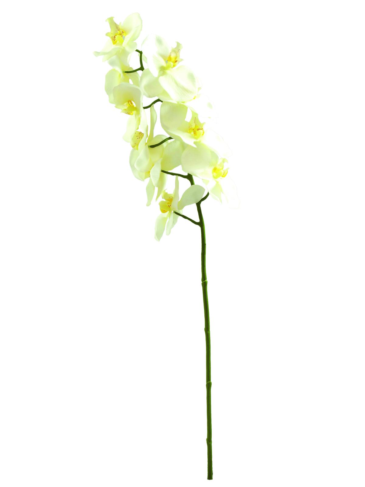 Orchidea větvička, krémová, 70cm