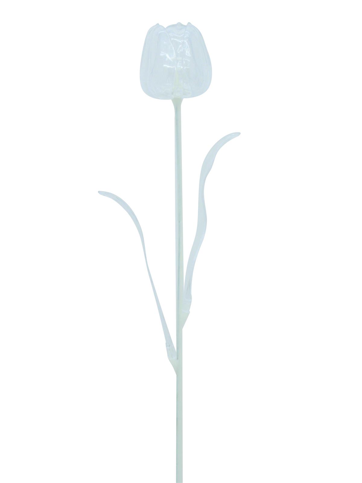 Tulipán čirý, krystalický 61cm, 12ks