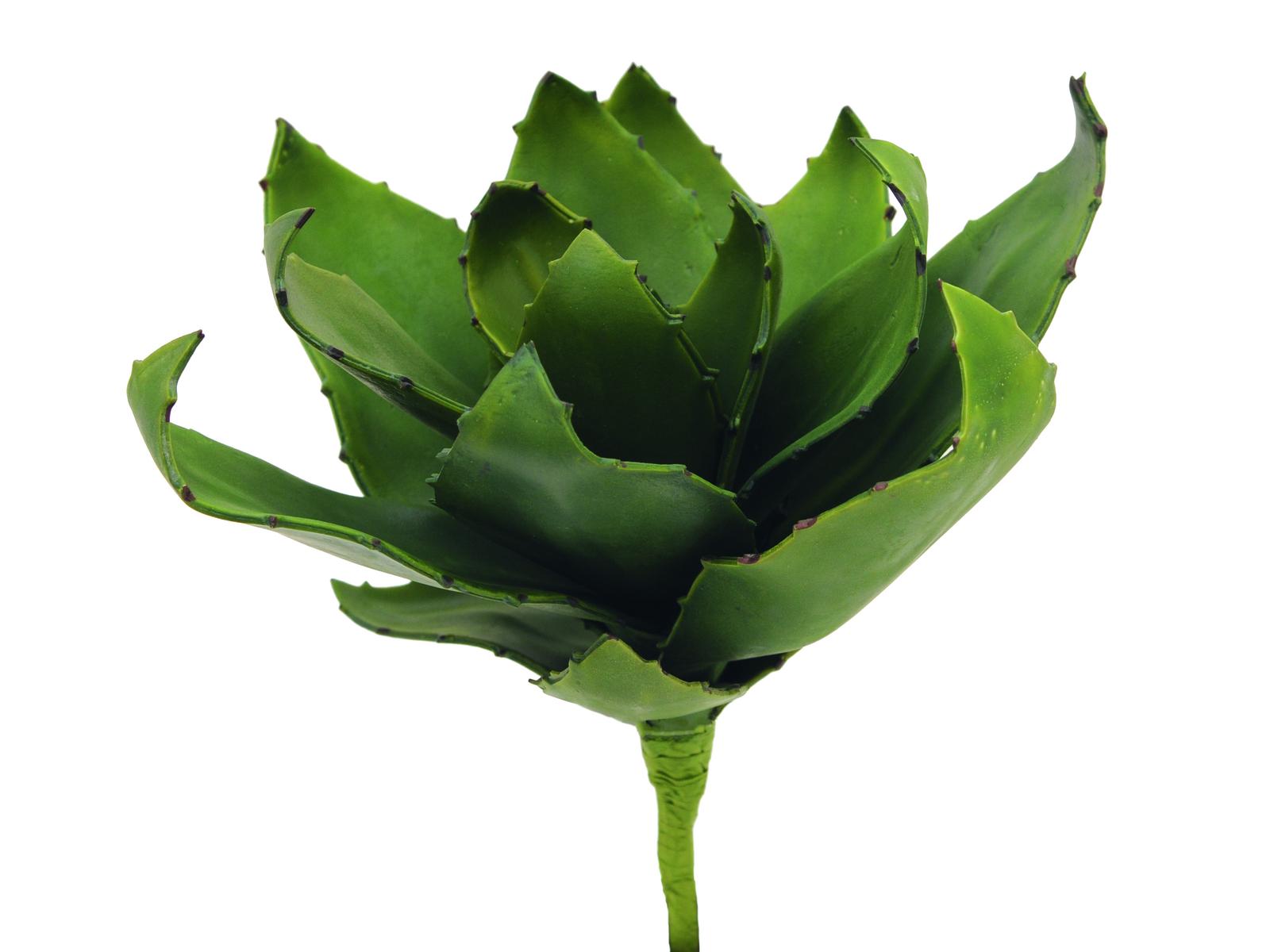 Agave kaktus zelený, 45cm
