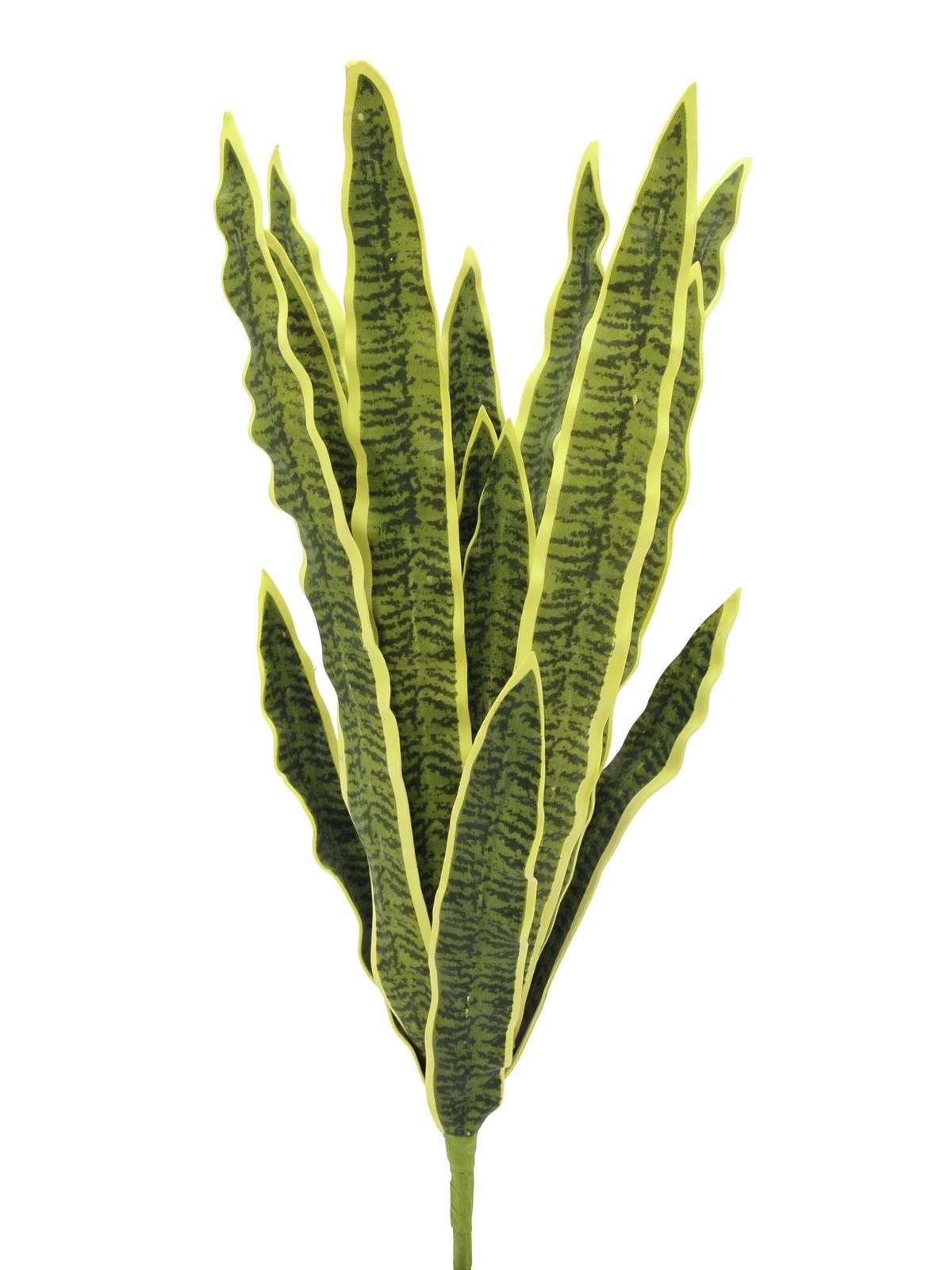 Sansevieria, zeleno-žlutá 50cm