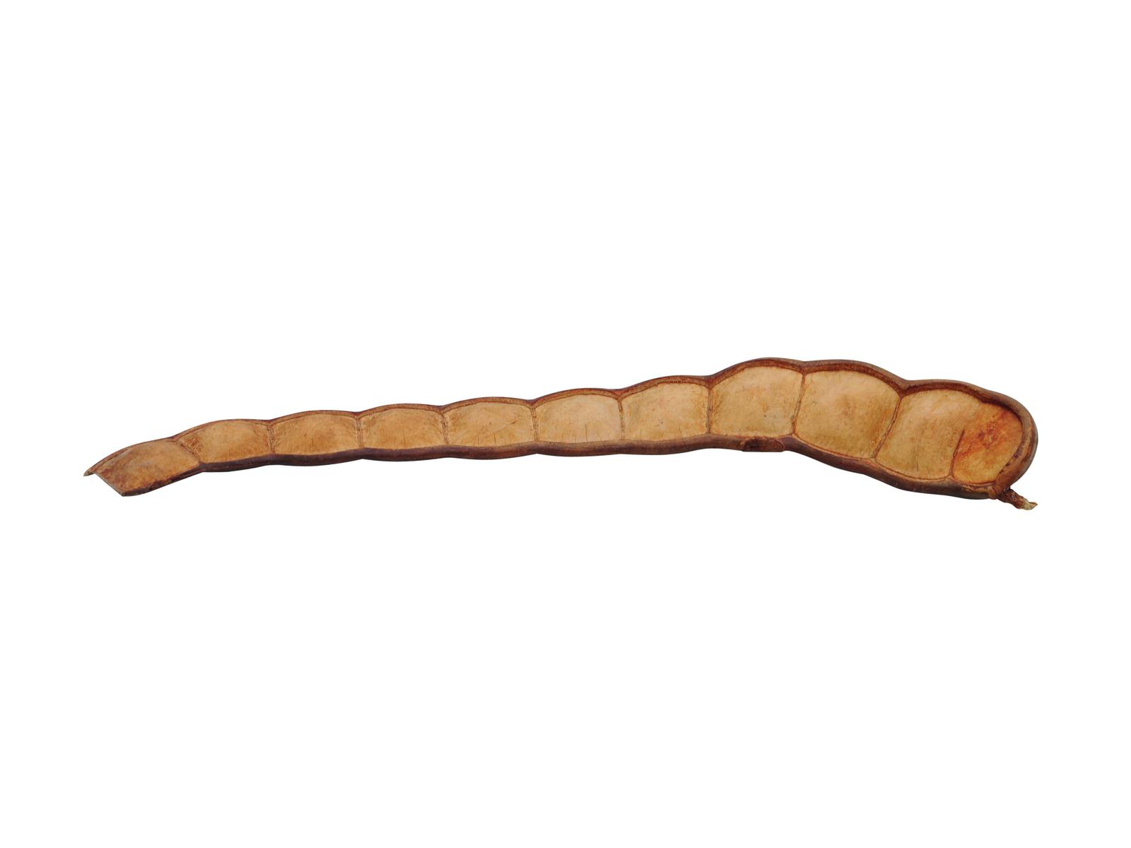 Lusk fazole XXL, písková 80-100cm