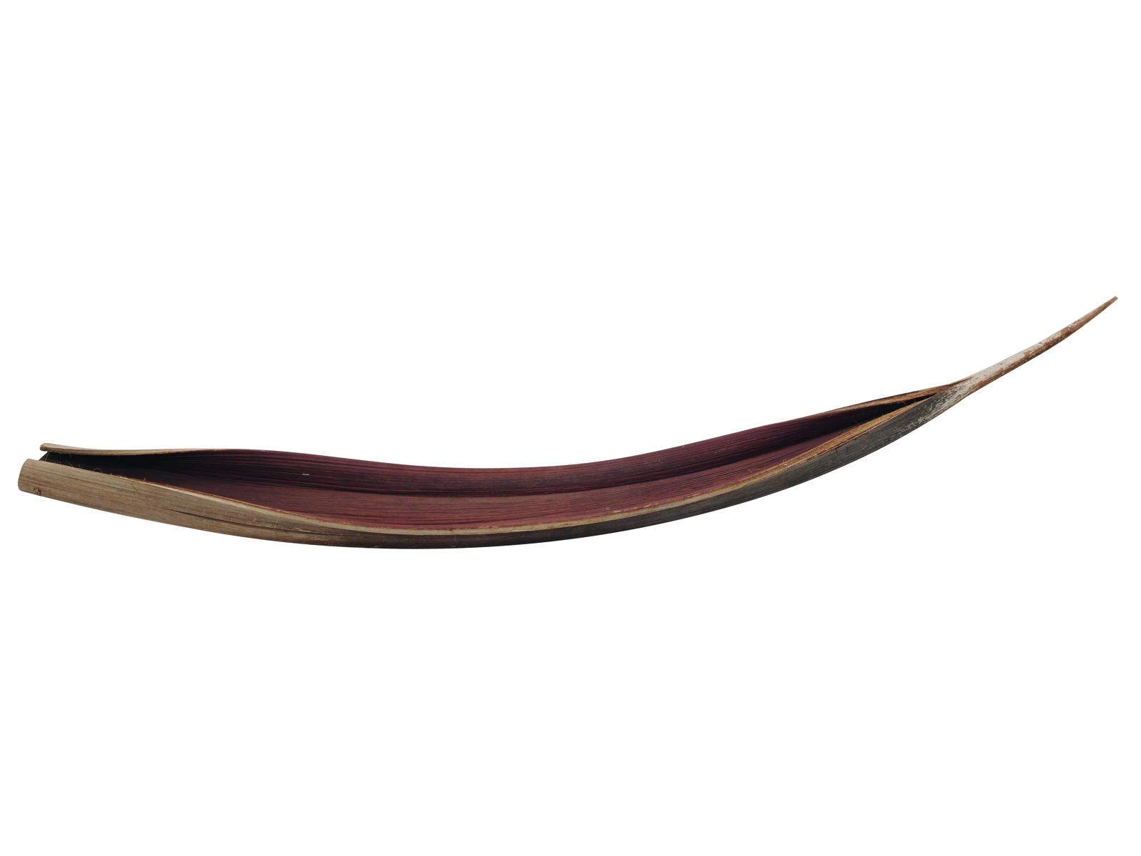 Galara sušený list XXL, přírodní 140-180 cm