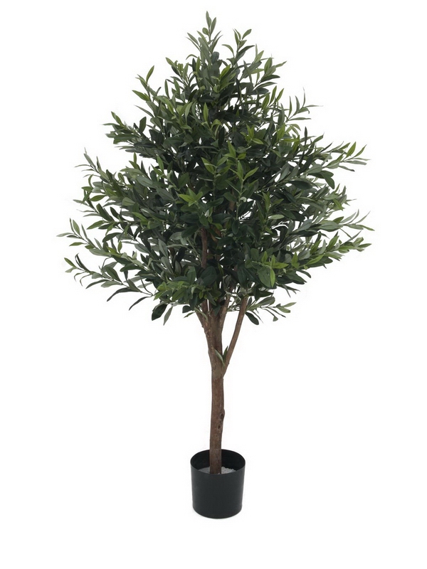 Olivovník - přírodní kmen, 130 cm