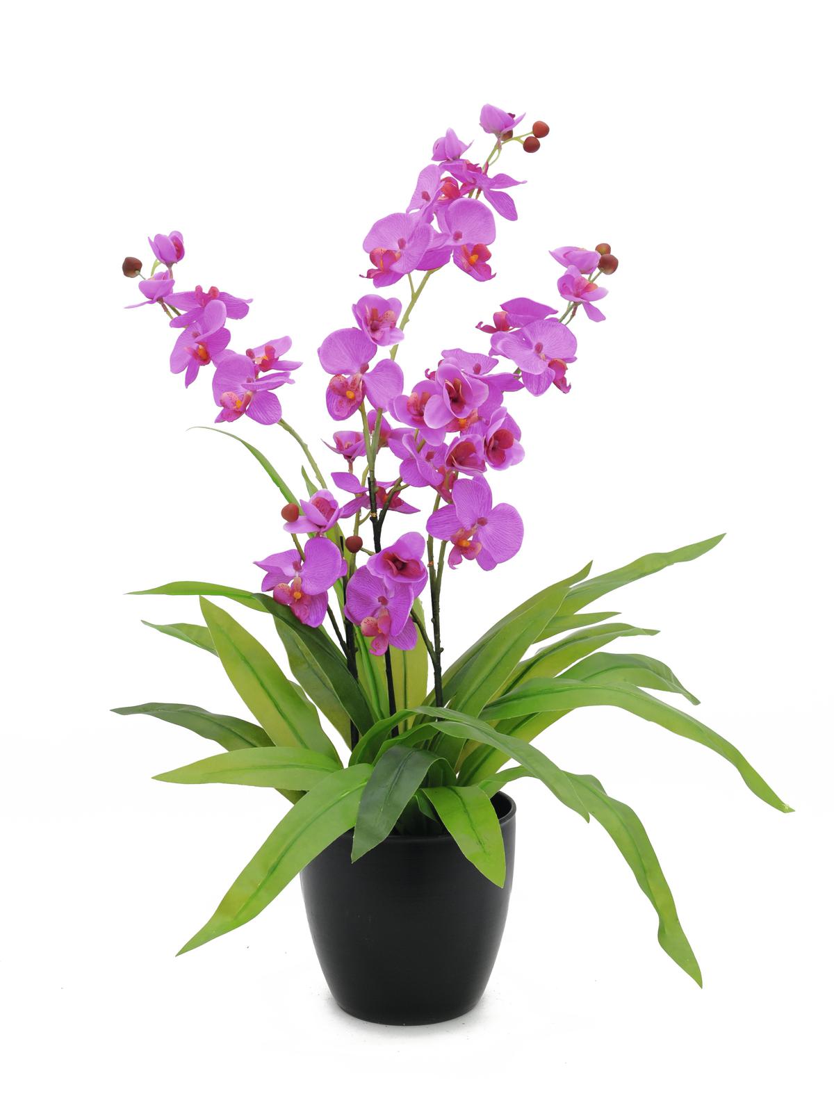 Fialová orchidej s květináčem, 80 cm