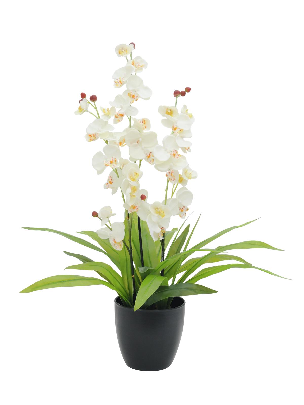 Bílá Orchidej s květináčem, 80 cm