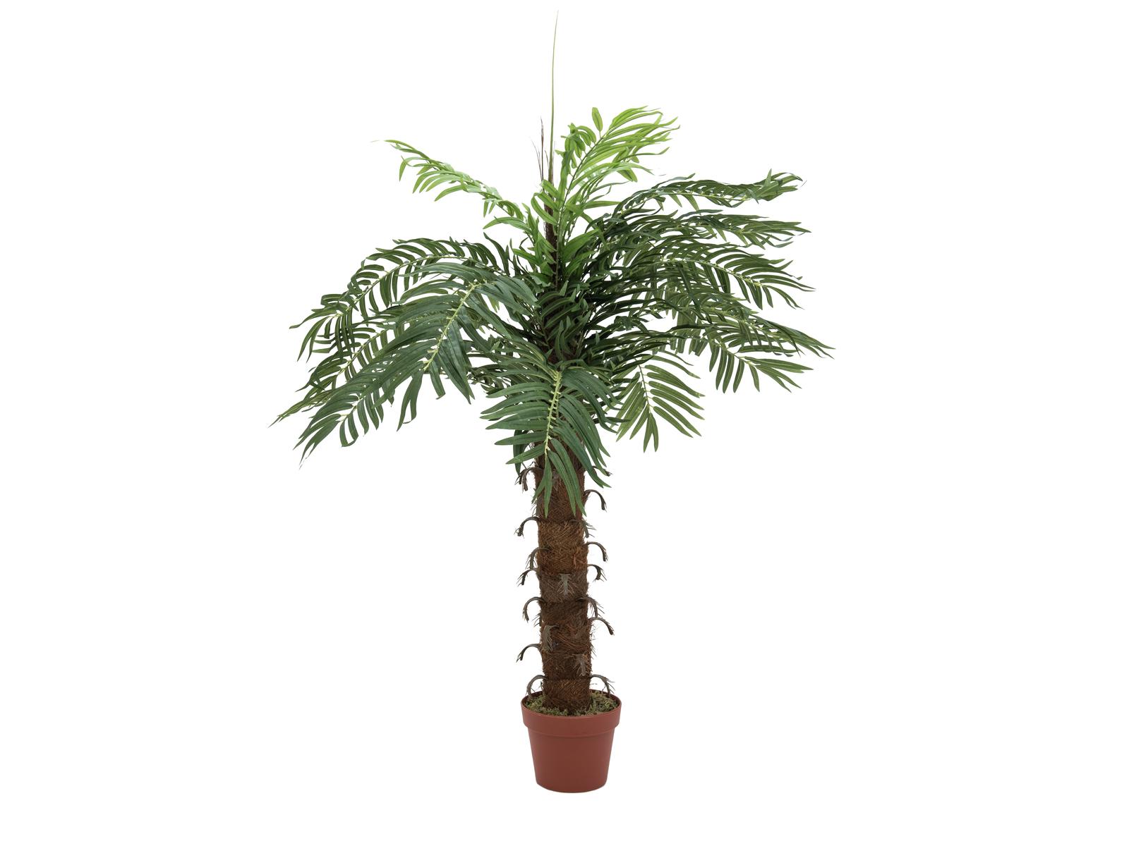 Kokosová palma - 15 listů, 120cm