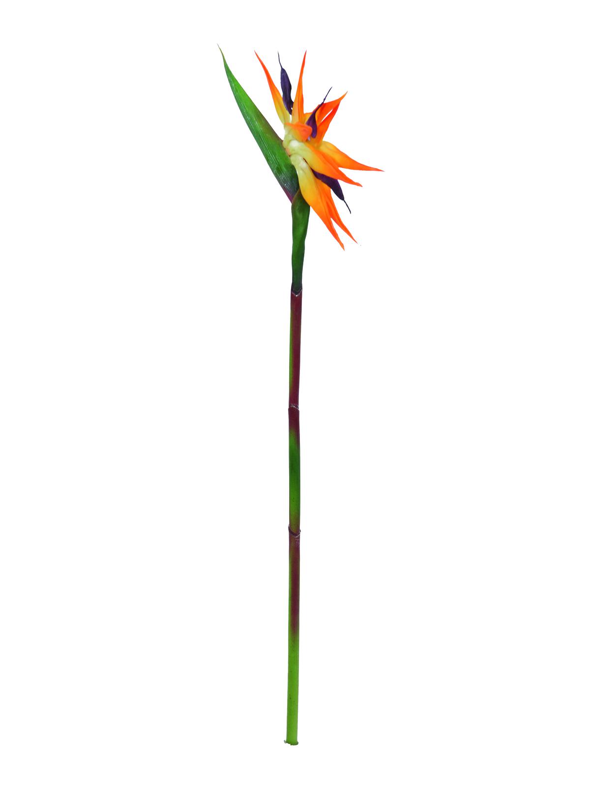 Paradise květina, oranžová, 95cm