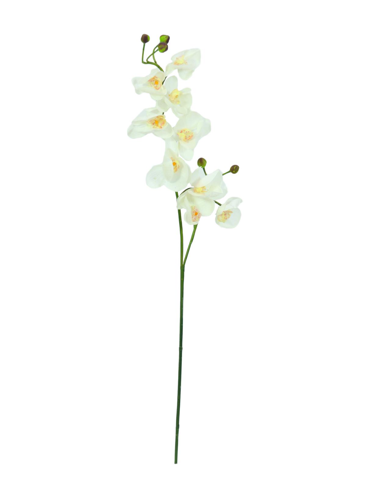 Orchidej větvička, krémová bílá 100cm