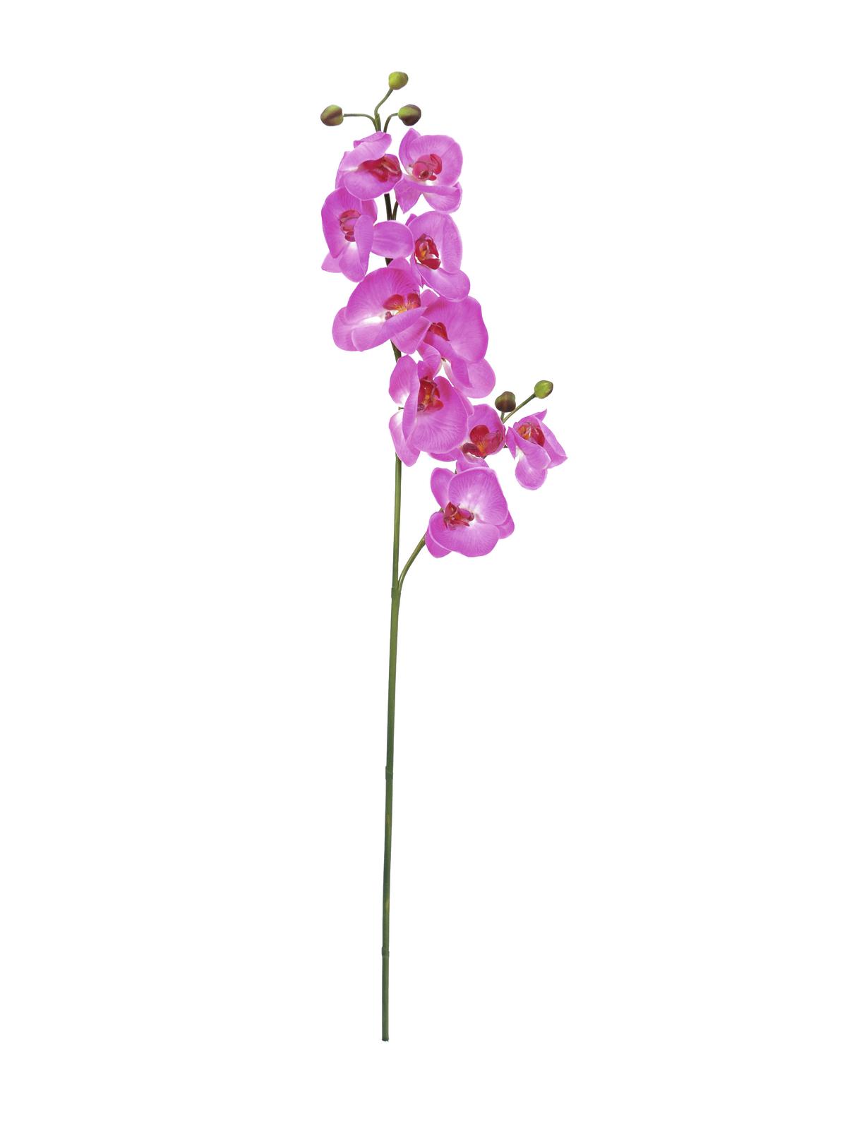Orchidej větvička, fialová 100cm