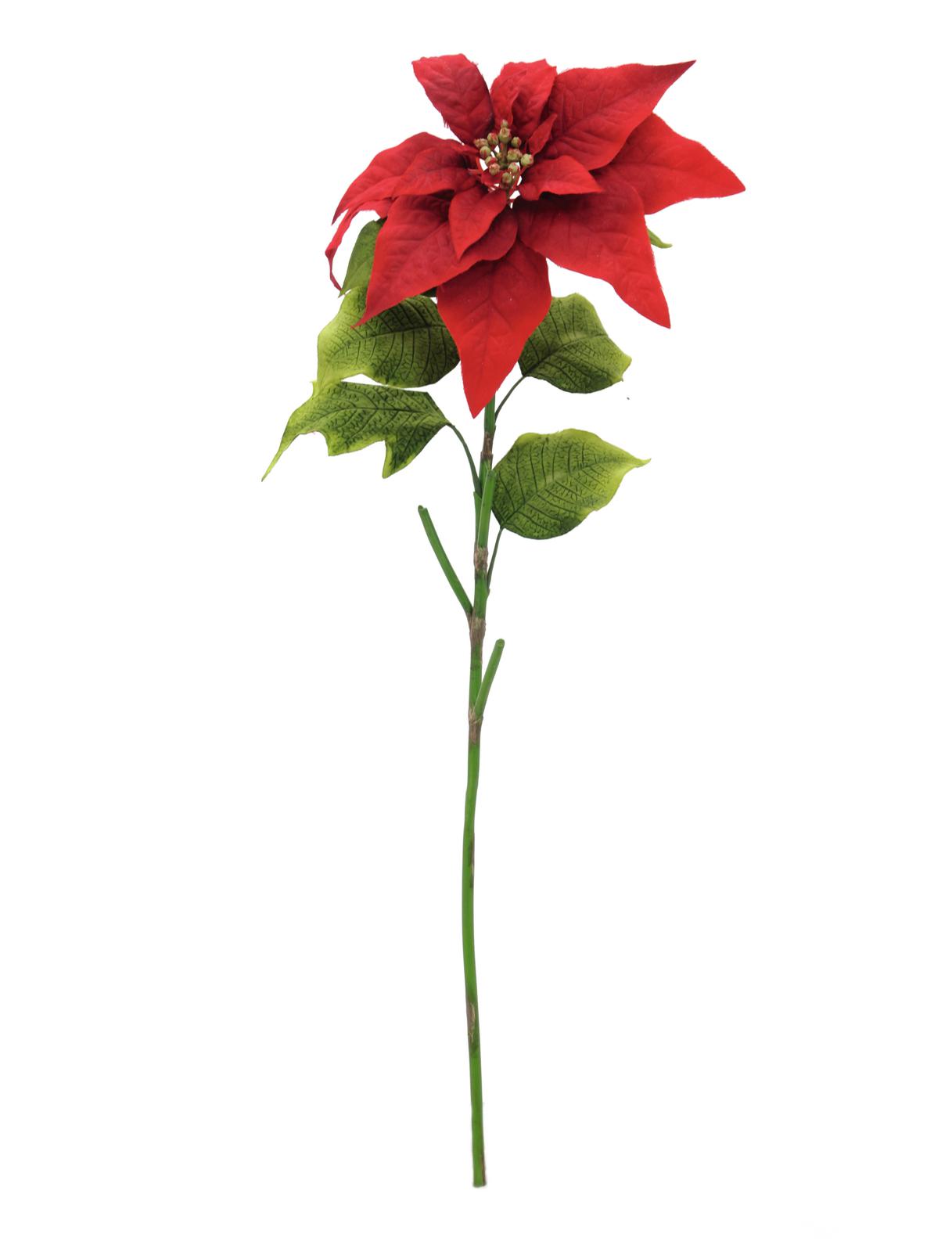 Vánoční hvězda - červená, 70cm