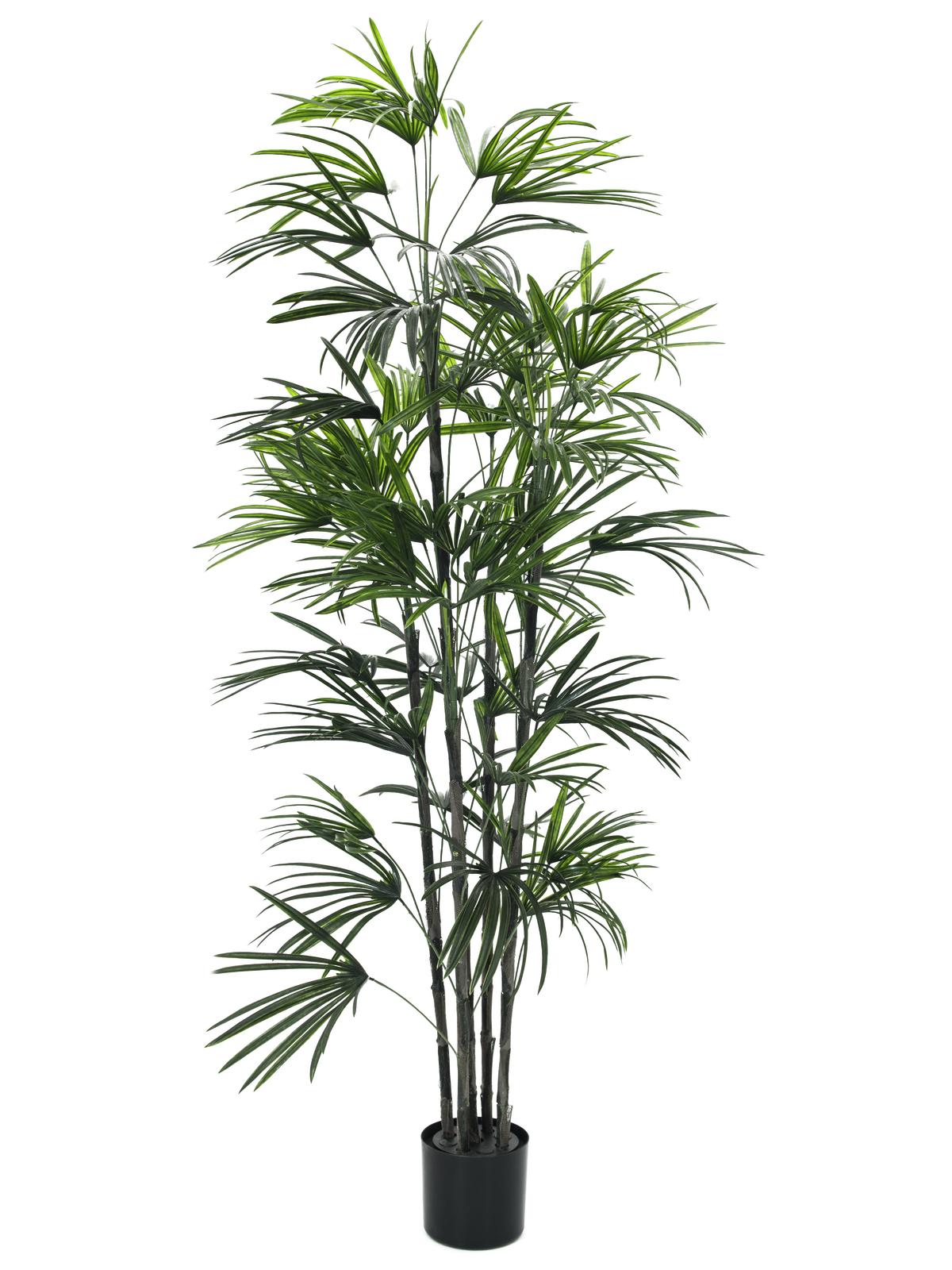 Fan palma v květináči zelená, 150cm