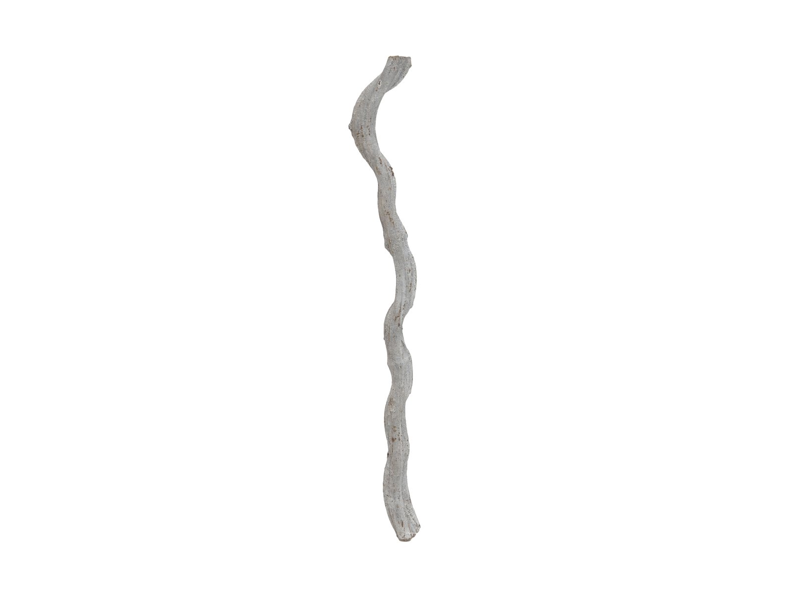 Liána - sušená větev, cca 70x8cm