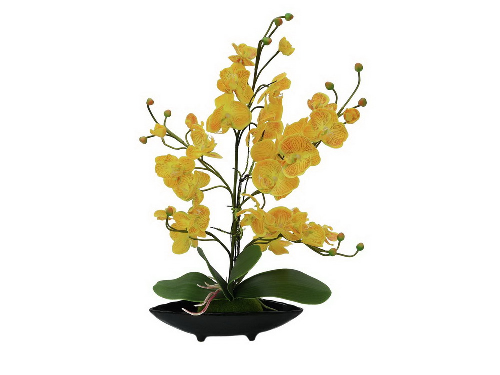 Orchidej v dekorativní misce (EVA), 60cm žlutá