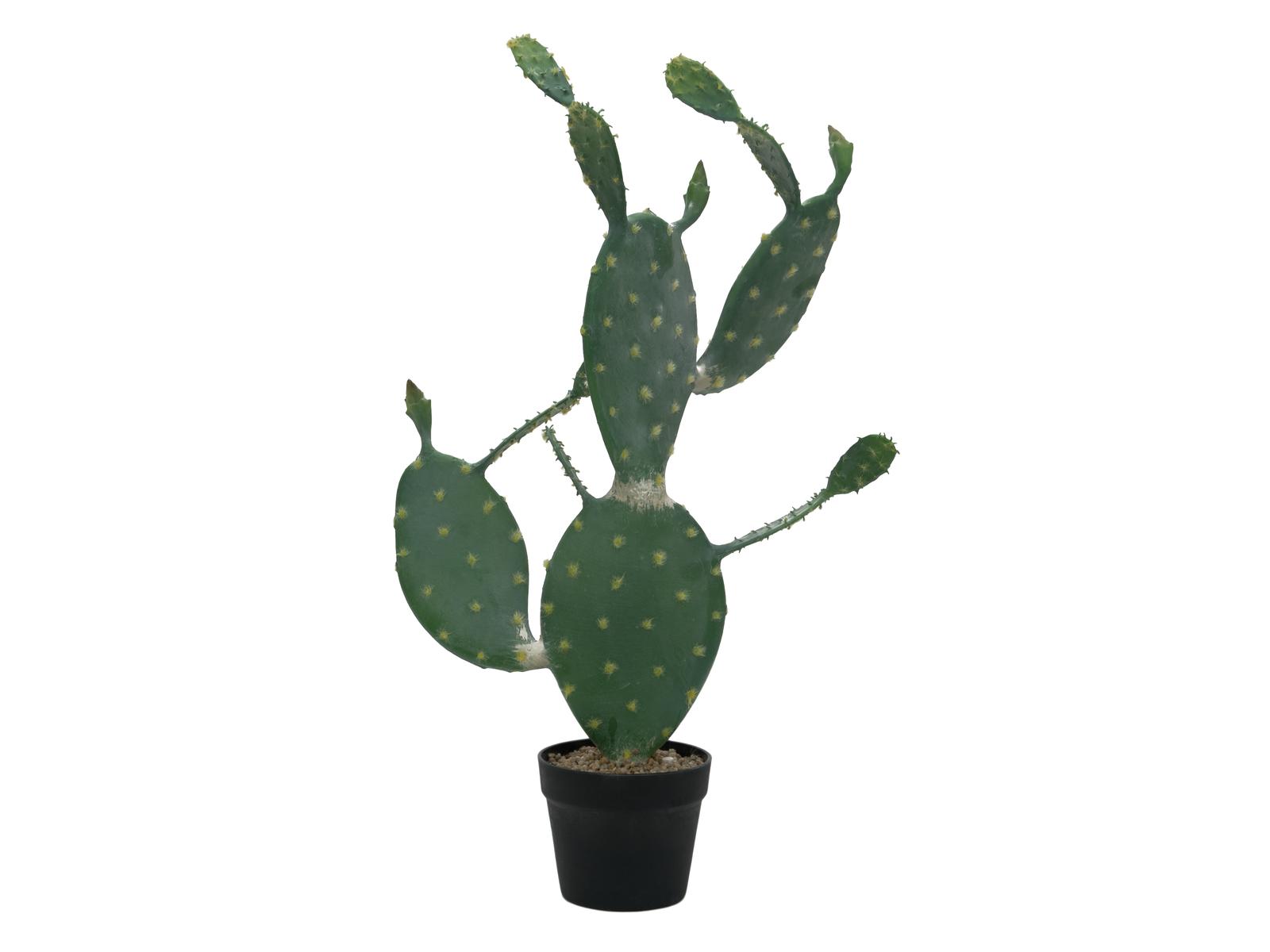 Nopal kaktus v květináči, 76cm