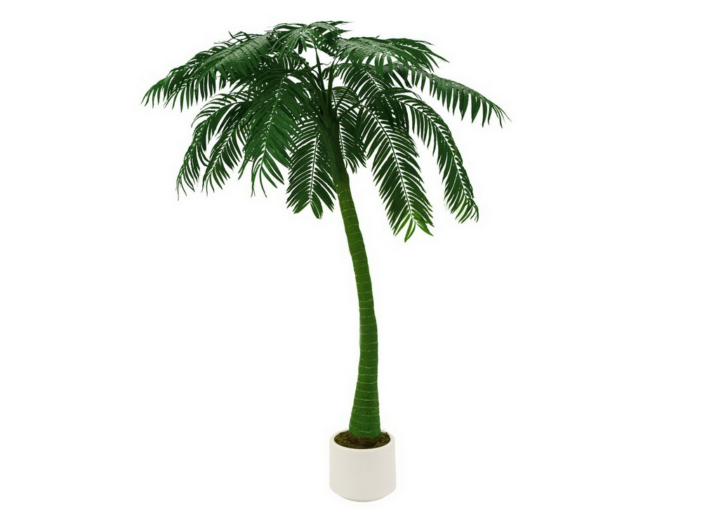 Palma v květináči zelená, 300cm