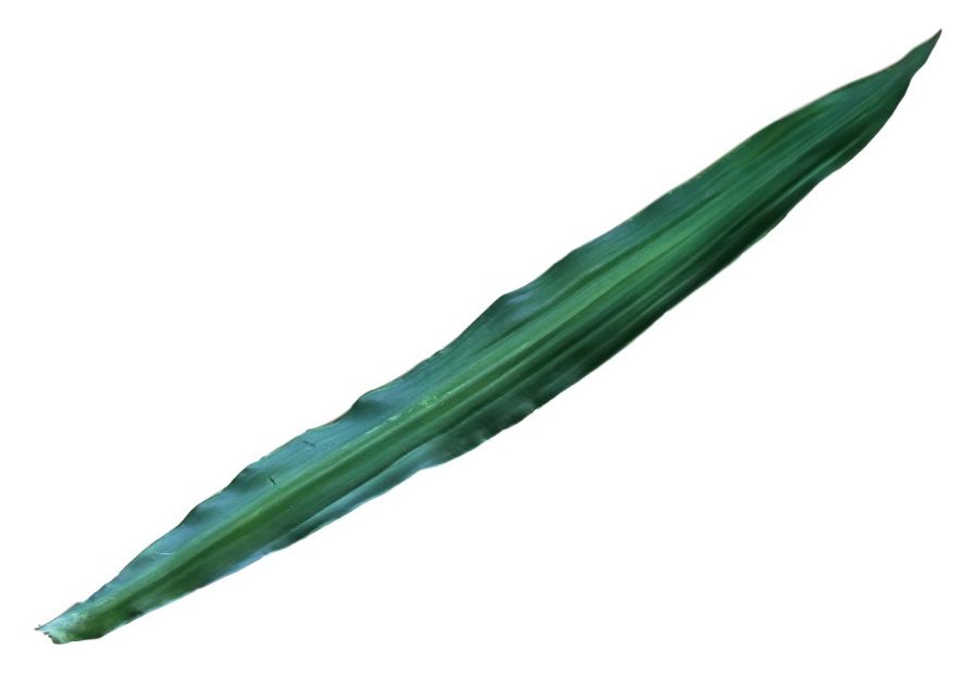 Obří umělý list zelený EVA, 90cm, 12ks
