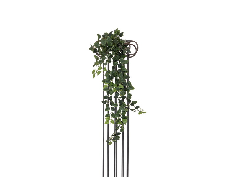 Philodendron zelený, 100cm