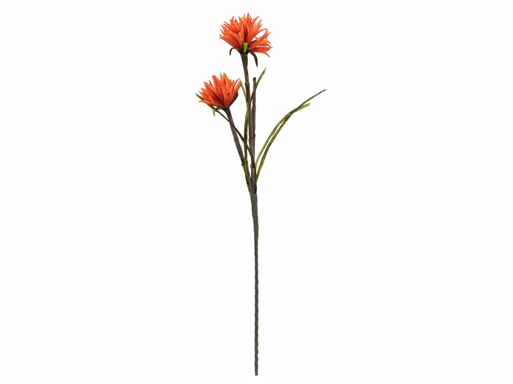 Jiřina se dvěma květy oranžová, 100 cm