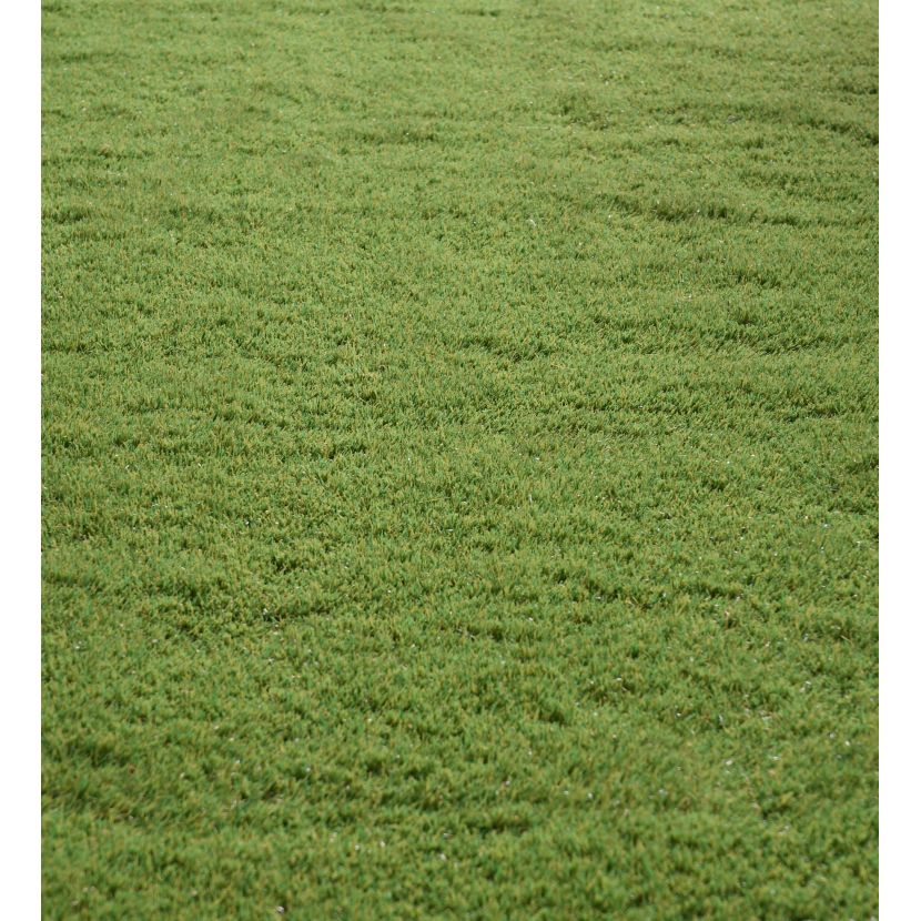 Umělý trávník koberec, výška 55mm, 2x12m role