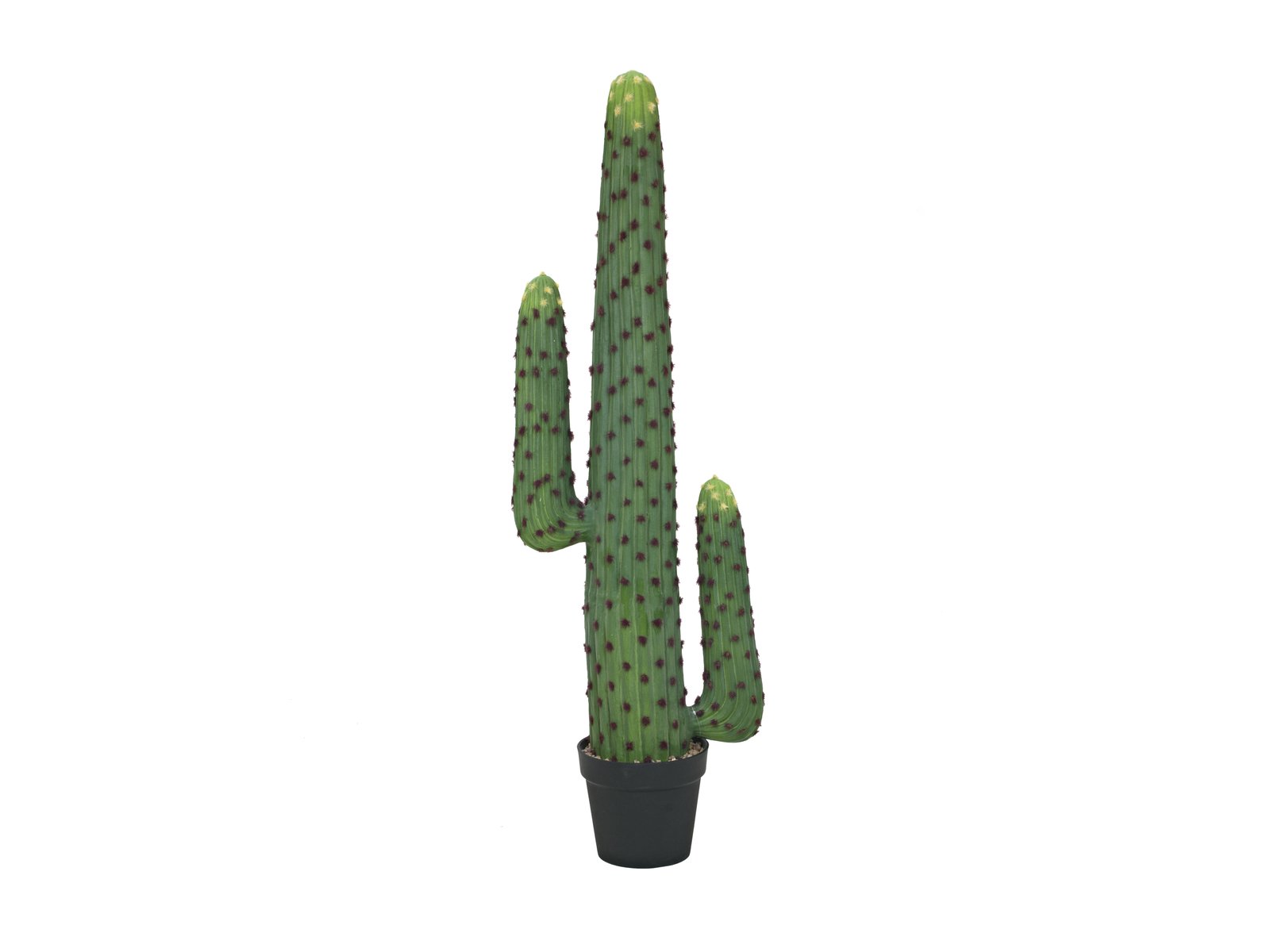 Mexický kaktus, 117cm