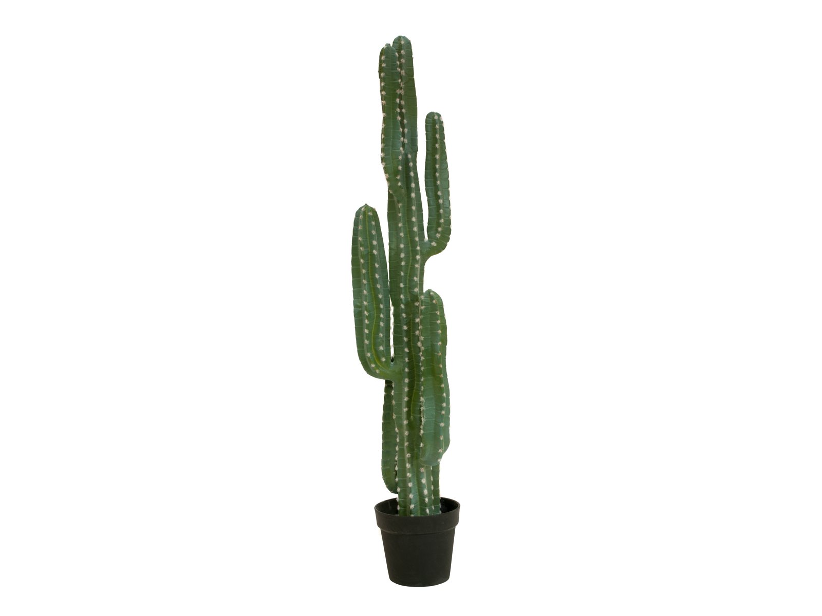 Mexický kaktus, 123cm