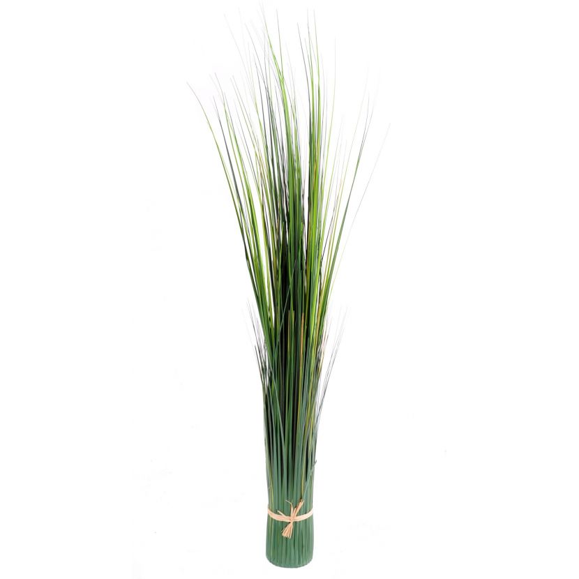 Cibulová tráva, 150cm