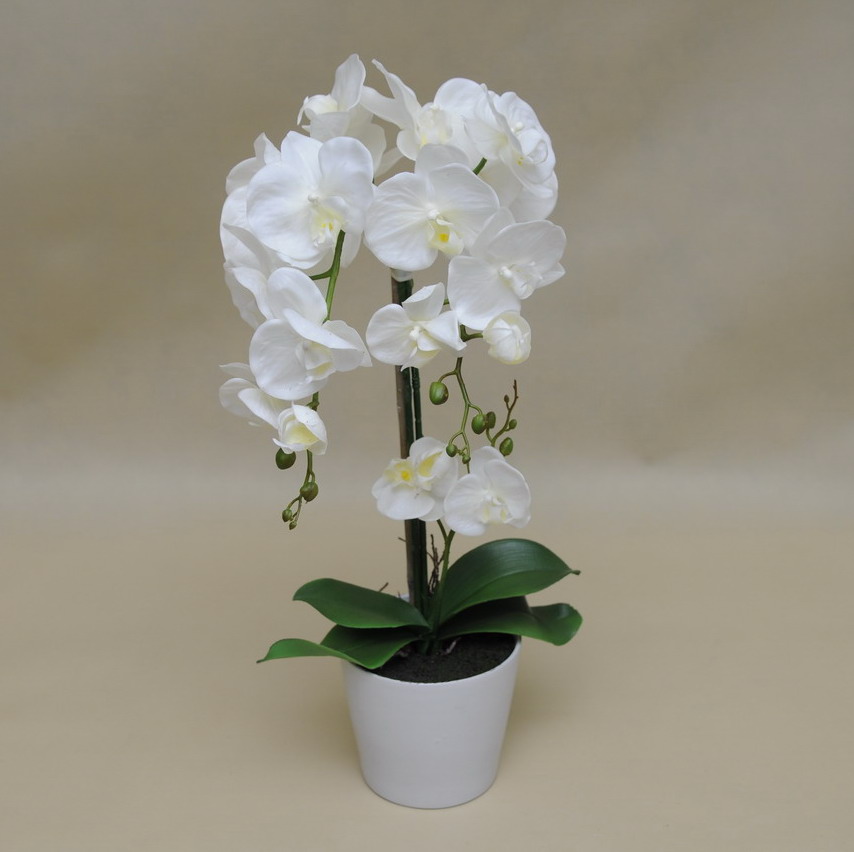 Orchidej s květináčem bílá, 64cm