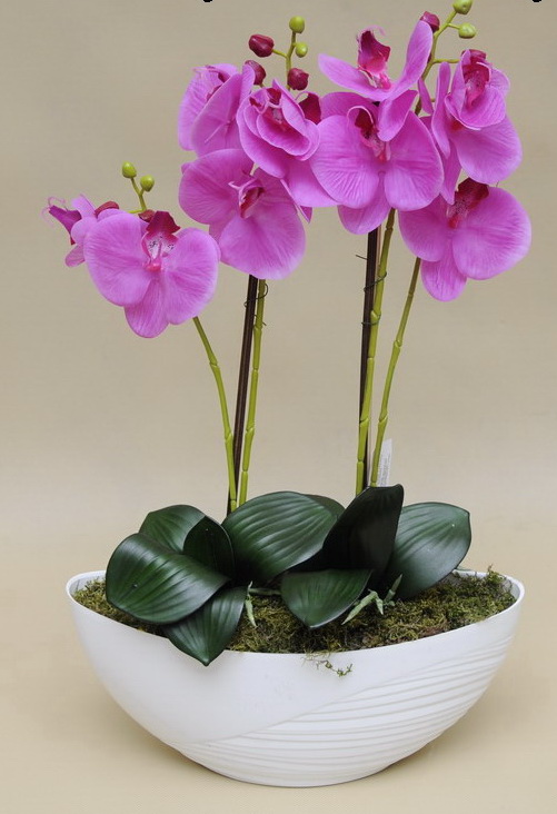 Orchidej v misce fialová, 52cm