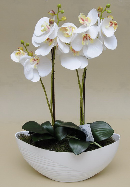 Orchidej v misce bílá, 52cm - 2. JAKOST