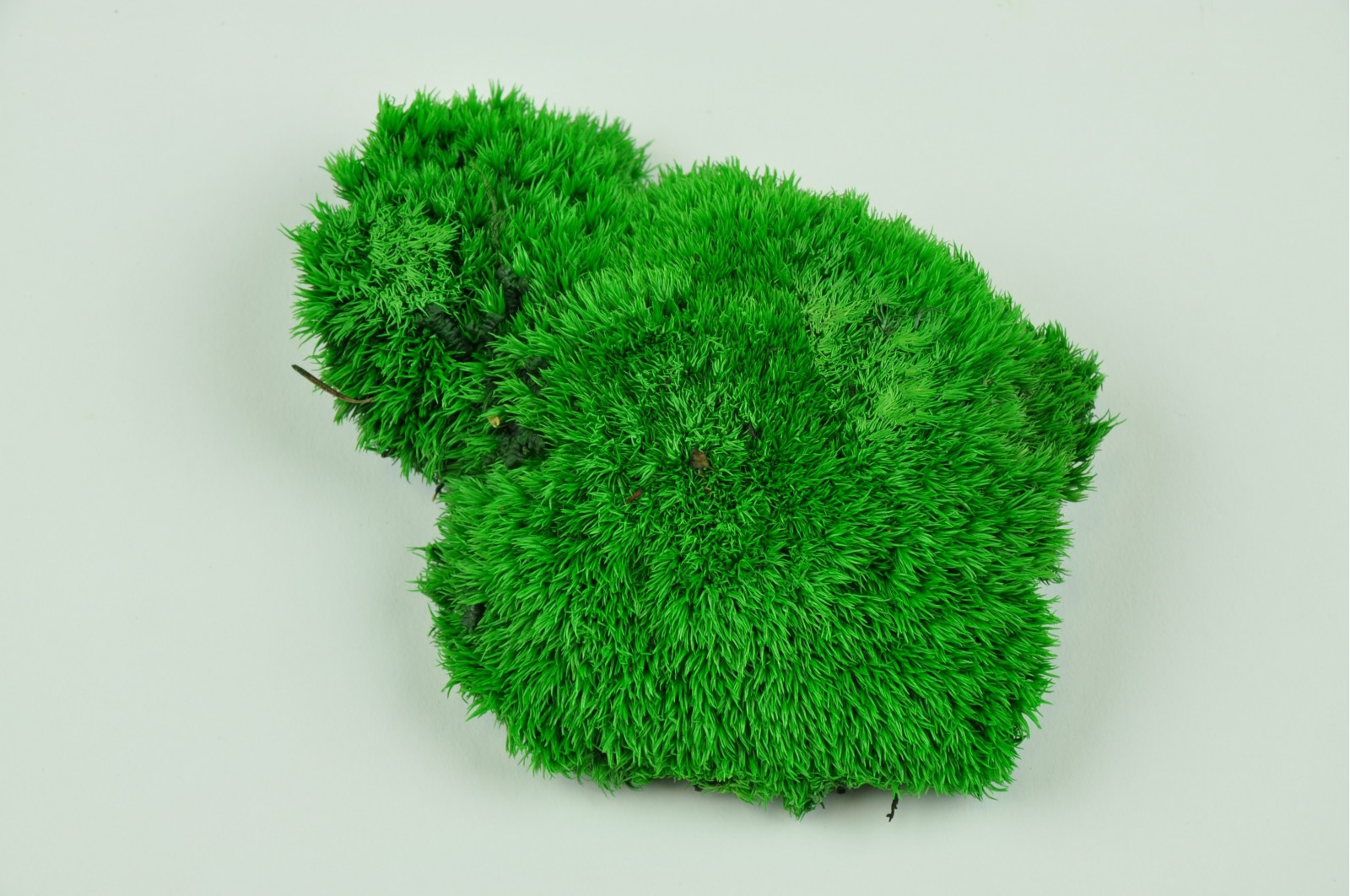 Stabilizovaný mech bochánky Francie, krabice 40x18x8,5cm - světle zelená