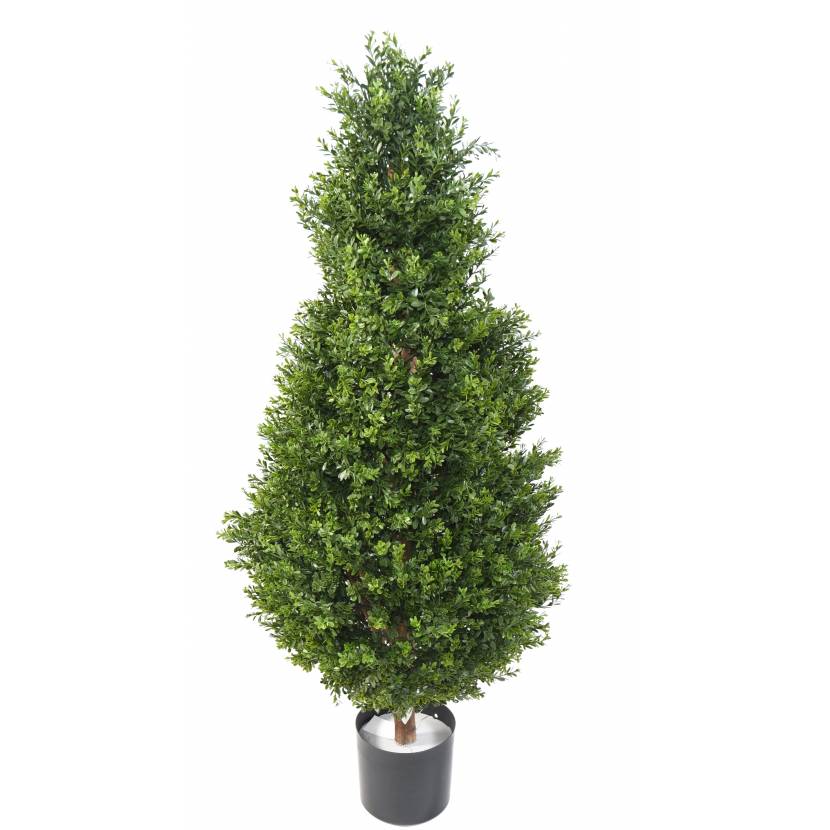 Buxus strom klasik, 125cm
