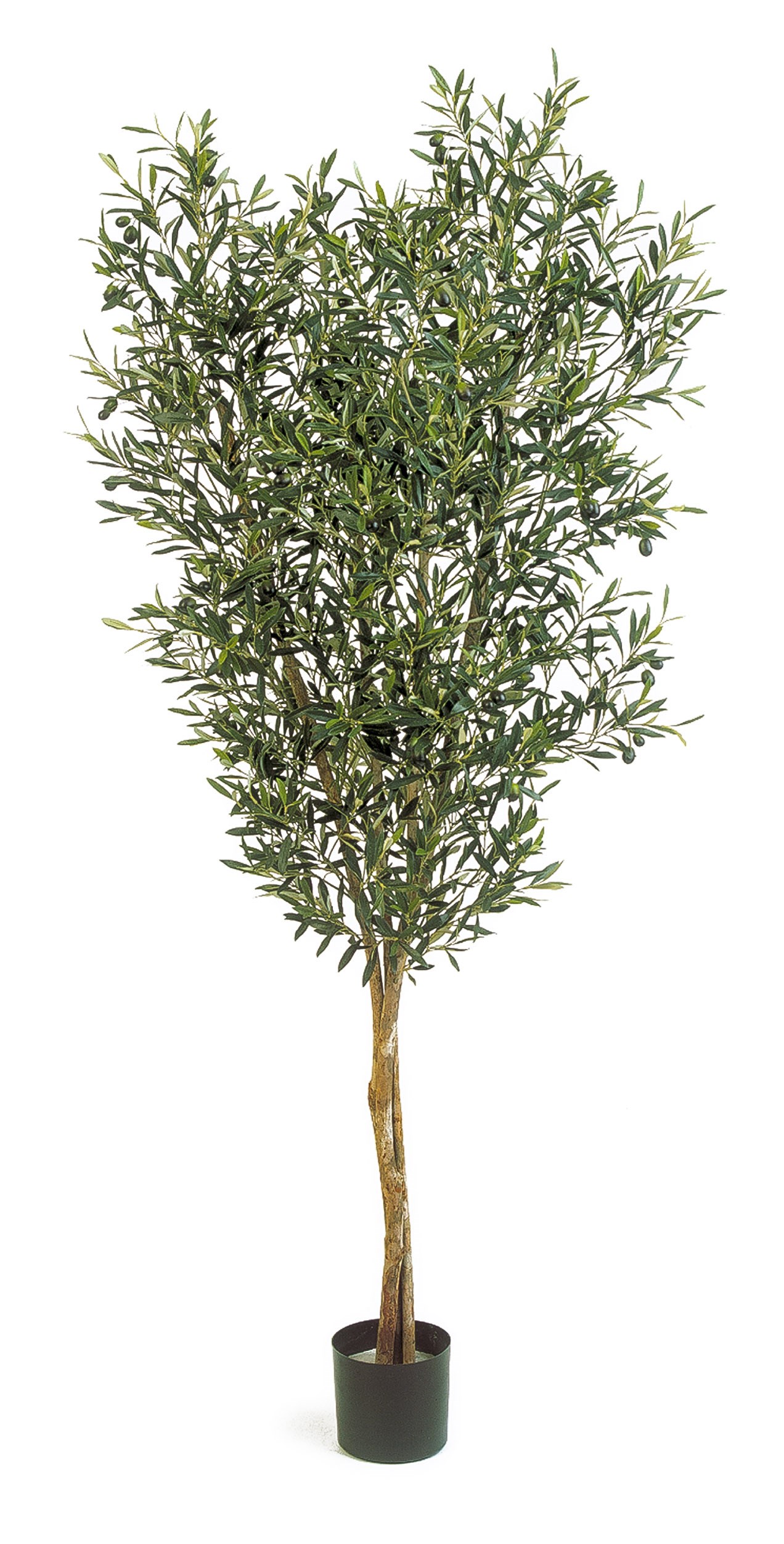 Olivovník s plody deluxe, 150cm